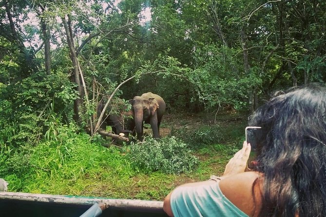 Private Dambulla Sigiriya Tour from Kandy with Lunch - Why This Day Trip Beats DIY Around Kandy