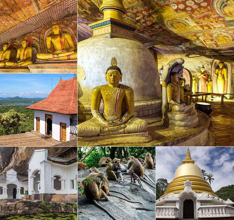 Private Day Tour Dambulla Sigiriya Village Tour - How a private driver makes this day tour easier