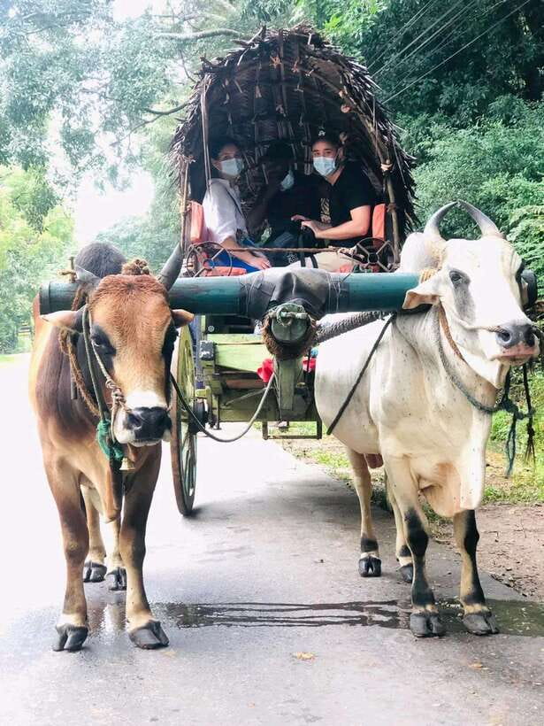 Private Day Tour Dambulla Sigiriya Village Tour - Dambulla Economic Center and craft shopping that actually teaches