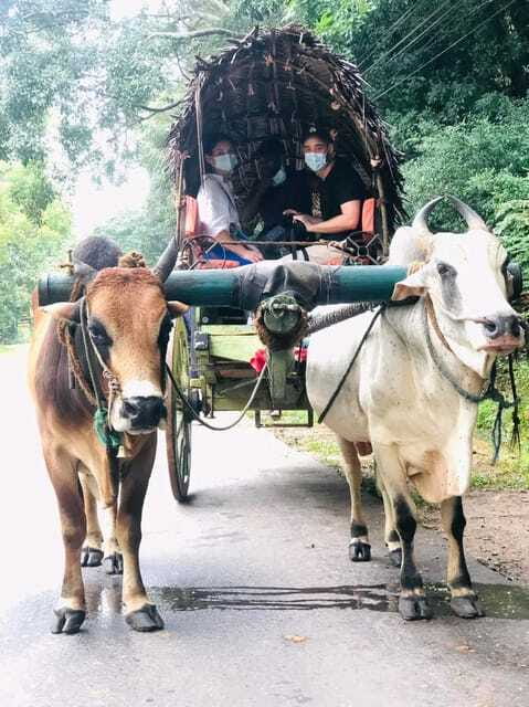 Private Day Tour Dambulla Sigiriya Village Tour - Optional Elephant Safari in Minneriya, Kaudulla, or Hurulu Eco Park