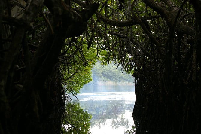 Private Day Tour: Negombo City Tour from Colombo - Key highlights in plain terms