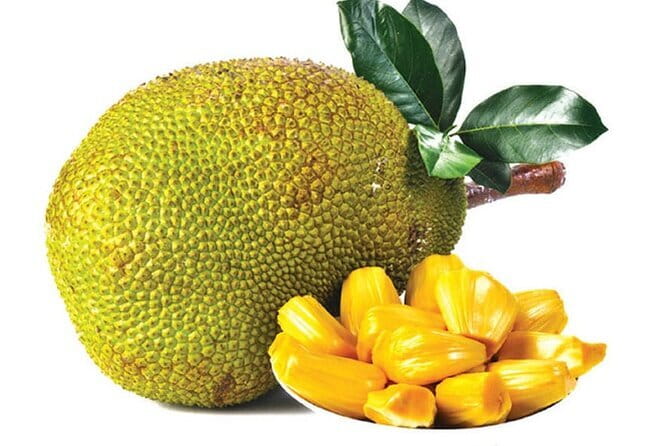 Private Day Tour: Negombo City Tour from Colombo - Negombo Beach: start your day with the coast