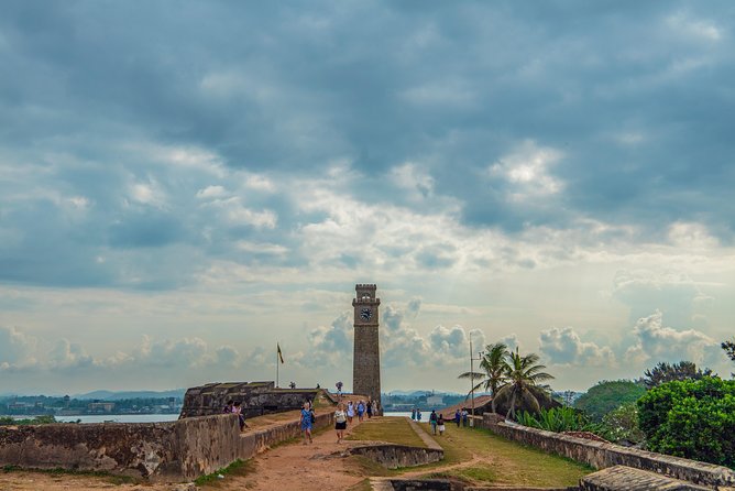 Private Day Tour to Galle from Colombo - How the river, turtles, and seaside start set the tone
