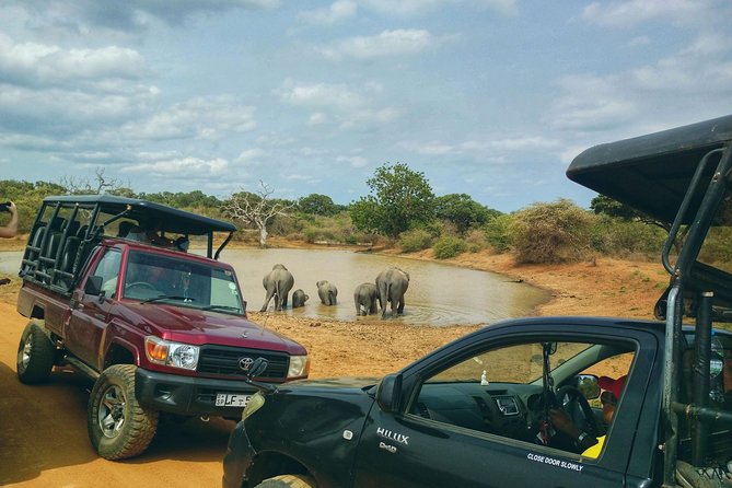 Private Day Tour: Yala National Park Safari Tour from Galle & Weligama - Why This Yala Safari From Galle Works