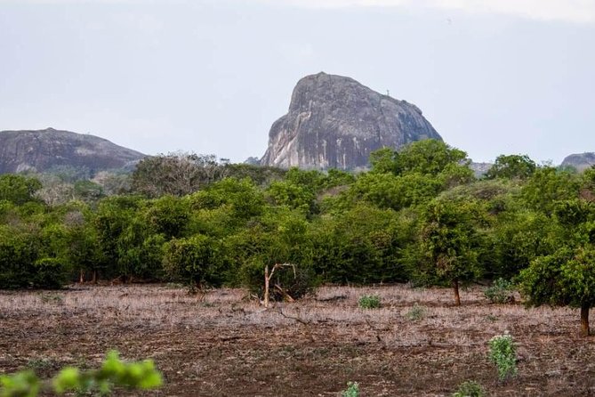 Private Day Tour: Yala National Park Safari Tour from Galle & Weligama - Your Safari Team: Naturalist, Jeep Time, and the Small-Group Advantage