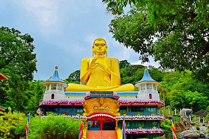 Private Day Trip To Minneriya Sigiriya and Dambulla From Kandy - Key points to know before you go