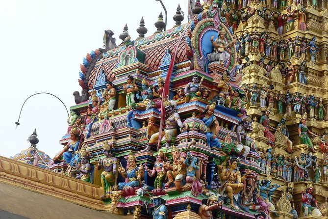 Private Day Trip to Sigiriya & Dambulla from Kandy – Aaliya Tours - Minneriya National Park in the afternoon: elephants and patience