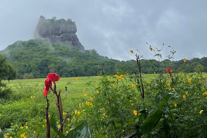 Private Full Day Tour Sigiriya and Dambulla From Kandy - Entrance ticket budget: what you should expect to pay on top of the $80 group price
