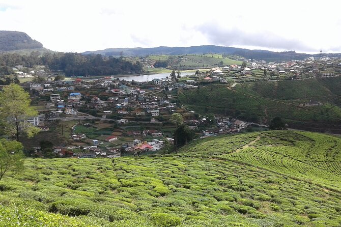 Private Full Day Tour to Nuwara Eliya from Kandy - Gregory Lake and the Nuwara Eliya Viewpoint Before Heading Back