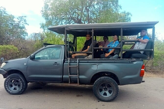 Private Full Day Udawalawe Safari Trip with Lunch - Key highlights if you care about elephant sightings and real-world comfort
