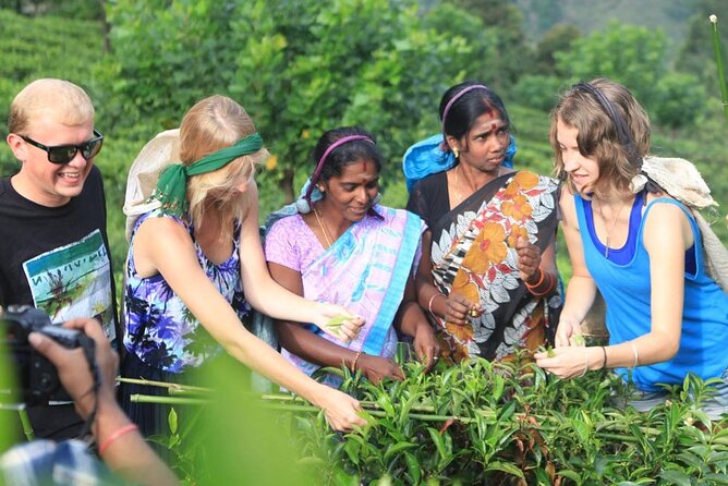 Private Galle Day Tour with Boat Safari & Tea Factory Visit - All Inclusive - Early-morning pickup from Colombo and the coast (and why it matters)