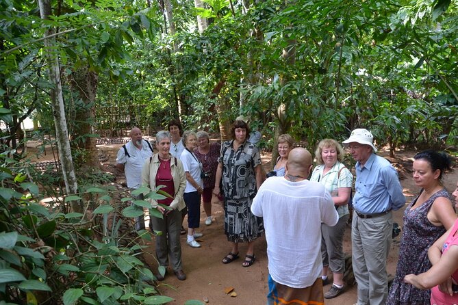 Private Galle Day Tour with Boat Safari & Tea Factory Visit - All Inclusive - Lunch, bottled water, and how the day stays manageable