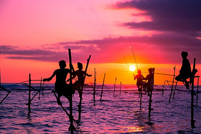 Private Galle Day Trip from Colombo/ Negambo / Bentota - Stilt fishermen stop, quick window into an old coastal skill