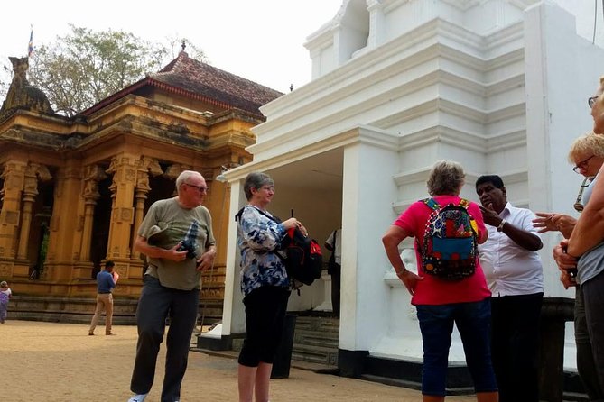 Private Half-Day Colombo City Tour - Price and logistics: what $60 gets you in real terms