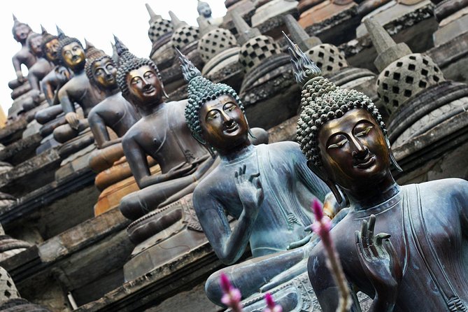 Private Half-Day Colombo City Tour - The guide makes the difference: what to look for