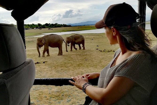 Private Half Day Safari in Udawalawe National Park - How Conservation Fits Into the Safari Story
