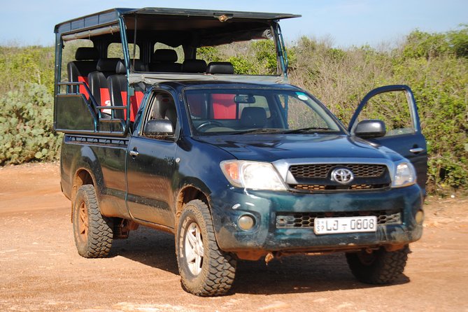 Private Half Day Safari Tour to Yala NP From Tangalle and Drop Back - Key Highlights You’ll Feel on This Tour