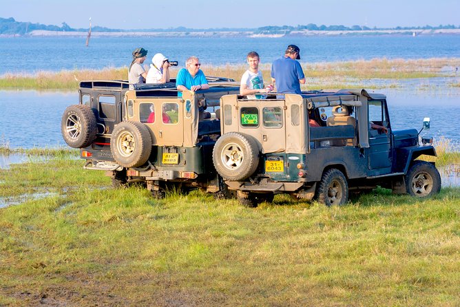 Private Jeep Safari at Minneriya National Park - Minneriya and the Elephant Moment You Actually Came For