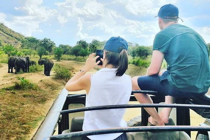 Private Jeep Safari at Minneriya National Park - Animals You Might Spot: What to Keep Your Eyes On
