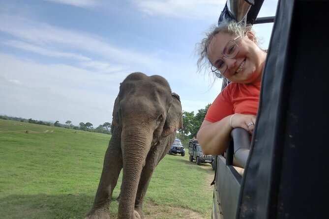 Private Jeep Safari at Minneriya National Park to Visit Elephants - Getting picked up, then getting into the park