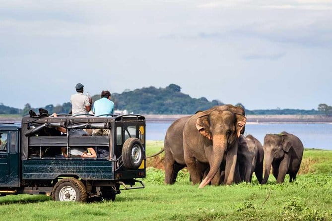 Private Jeep Safari To one of a Best National Park - Key Things I’d Use To Plan This Safari