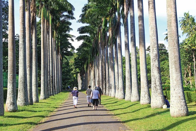 Private Kandy Tour by Air-Conditioned Car: Do it All in One Day - Why an air-conditioned private car makes Kandy easier