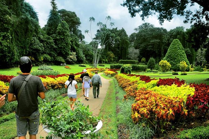 Private Kandy Tour by Air-Conditioned Car: Do it All in One Day - Bahirawakanda Temple, the 24-meter Buddha, and the local legends