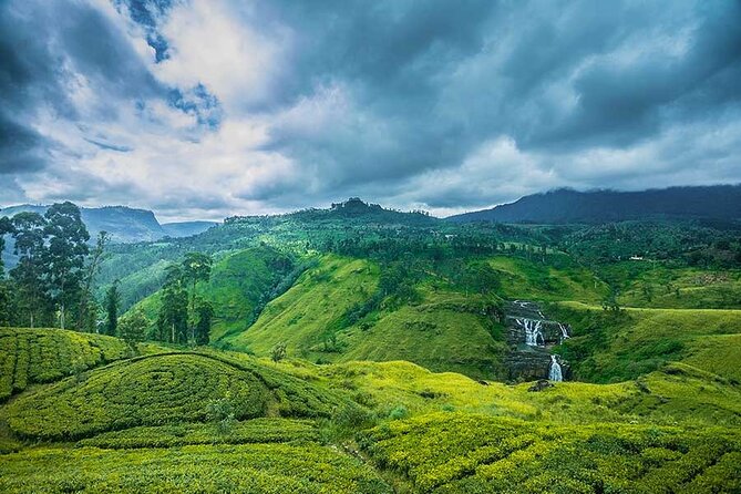 Private Multi-Day Outdoor Tour in Sri Lanka - Day 5: Whale and dolphin watching, then Galle Dutch Fort and coastal marine time
