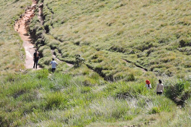 Private Multi-Day Sri Lanka Treks and Hikes Tour - Pattipola to Ohiya rail hike: the joy of walking where rails run