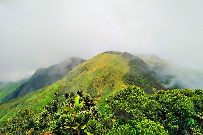 Private Multi-Day Sri Lanka Treks and Hikes Tour - Sinharaja Forest Reserve: early bird spotting in a UNESCO-level ecosystem
