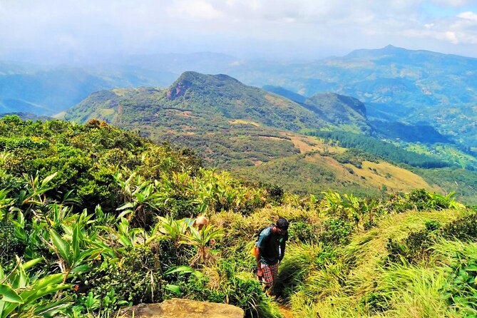 Private Multi-Day Sri Lanka Treks and Hikes Tour - Kandy basics, Peradeniya gardens, and Nuwara Eliya tea processing