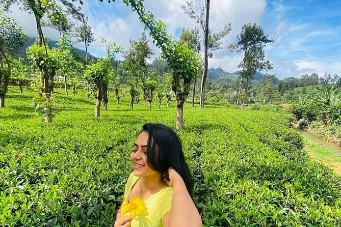 Private Ravana Falls and Nine Arches Bridge Ella Tour from Galle - Ella tea estates, what 20 minutes is actually good for