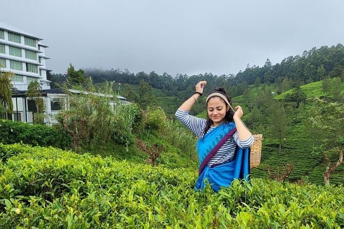 Private Ravana Falls and Nine Arches Bridge Ella Tour from Galle - Little Adam’s Peak at 5:30 pm, the hike that ends the day strong