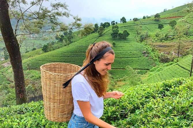 Private Ravana Falls and Nine Arches Bridge Ella Tour from Galle - Price and value: is $123 a smart deal from Galle?