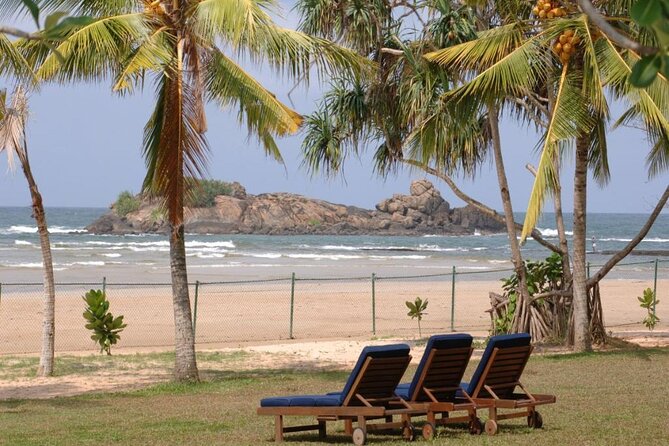 Private Taxi from Sri Lanka Airport (CMB-BIA) to The Palms Hotel Beruwala - Price and value: why $46.67 per person can make sense