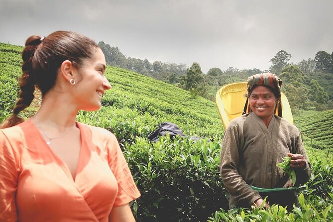 Private Tea Tour and Tea Factory - Key highlights you will care about