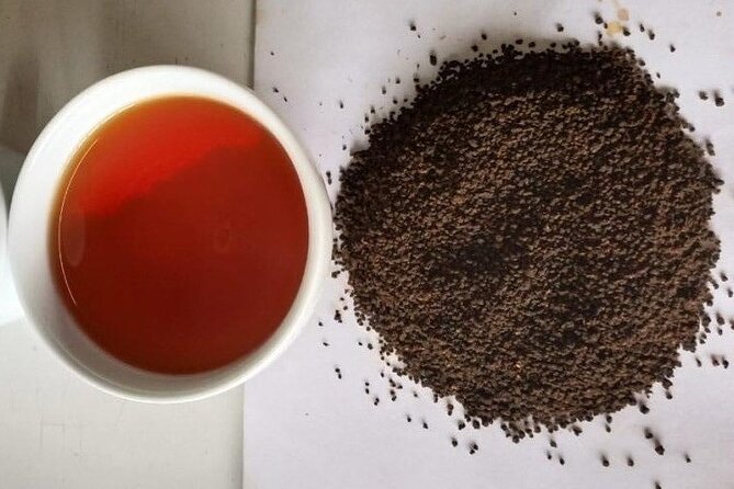 Private Tea Tour and Tea Factory - Freshly brewed tea: what to notice in your cup