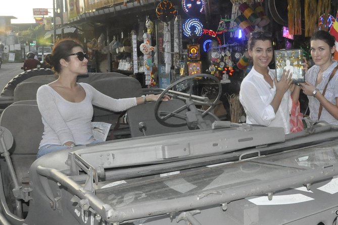 Private Tour of Colombo in a World War II Jeep - The Attidiya Bird Sanctuary stop is the big change of pace
