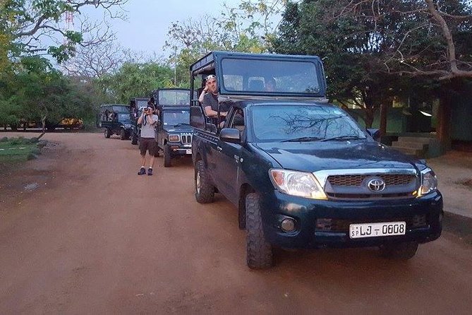 Private Tour : YALA National Park with Experienced Driver and Guide - Half-day vs full-day: how to choose your best timing