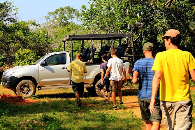 Private Tour : YALA National Park with Experienced Driver/Guide - Why this private Yala safari feels different from group chaos