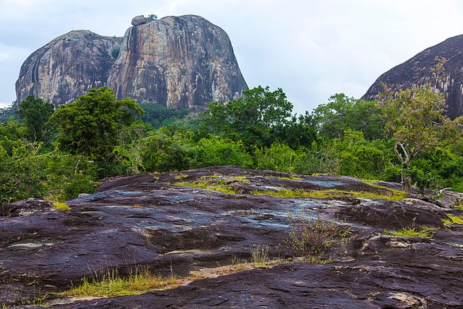 Private Tour : YALA National Park with Experienced Driver/Guide - Booking timing, confirmation, and how to plan your day