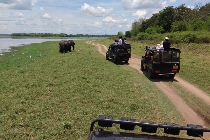 Private Trip to Sigiriya, Dambulla & safari from Colombo/ Negombo - Timing from Colombo: the 7:30am start is not random