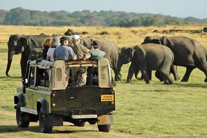 Private Trip to Sigiriya, Dambulla & safari from Colombo/ Negombo - What you should pack and how to handle a long rock and safari day