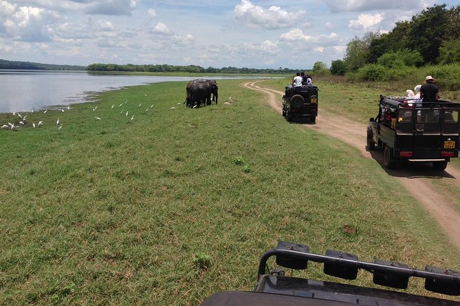 Private Trip to Sigiriya, Dambulla & safari from Colombo/ Negombo - Who this private trip fits best