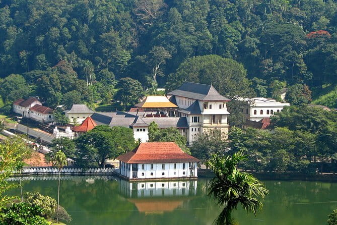 Private Tuk Tuk Tour of Kandy City & Surroundings - Stop 3: Peradeniya Royal Botanical Garden for Real Time to Wander