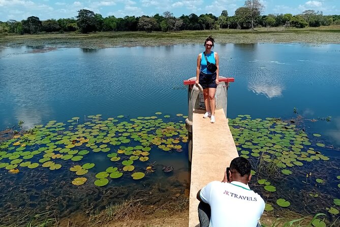 Private Wilpatu National Park Leopard safari from Colombo/Negambo - Wilpattu vs Yala: why this leopard safari feels more relaxed