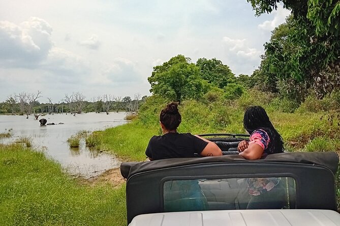 Private Wilpatu National Park Leopard safari from Colombo/Negambo - What to expect from the ground transportation