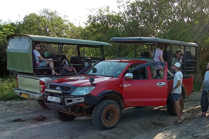 Private Wilpatu National Park Leopard safari from Colombo/Negambo - Price and logistics: what you pay, what you still need to budget