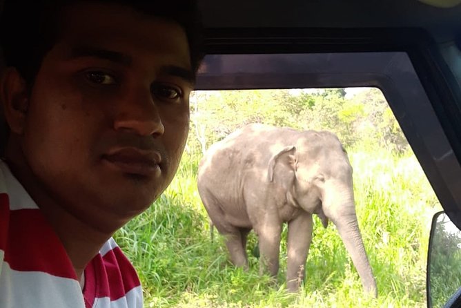 Rangiri Jeep Safari Sigiriya Lion Rock & Evening Jeep Safari - Price and value: what $45 per person really buys