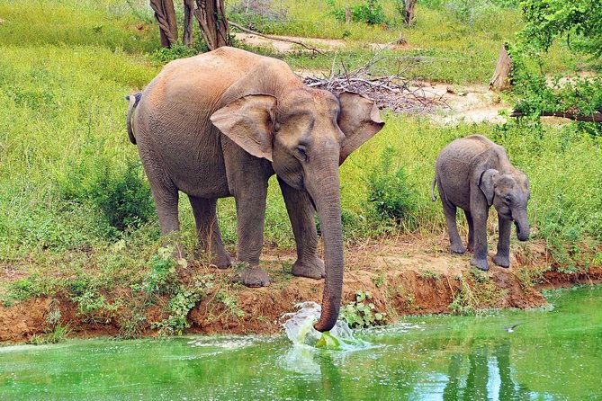 Round tour - 7days & 6nights - A 7 day Sri Lanka road trip, without the stress